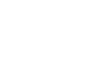 LOGO Impulse